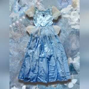 Cinderella Costume / Dress